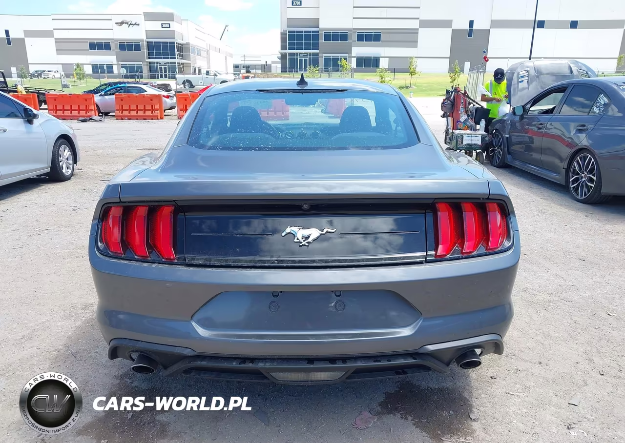 2021 Ford Mustang Ecoboost Fastback VIN:1FA6P8TH6M5154989 - 16