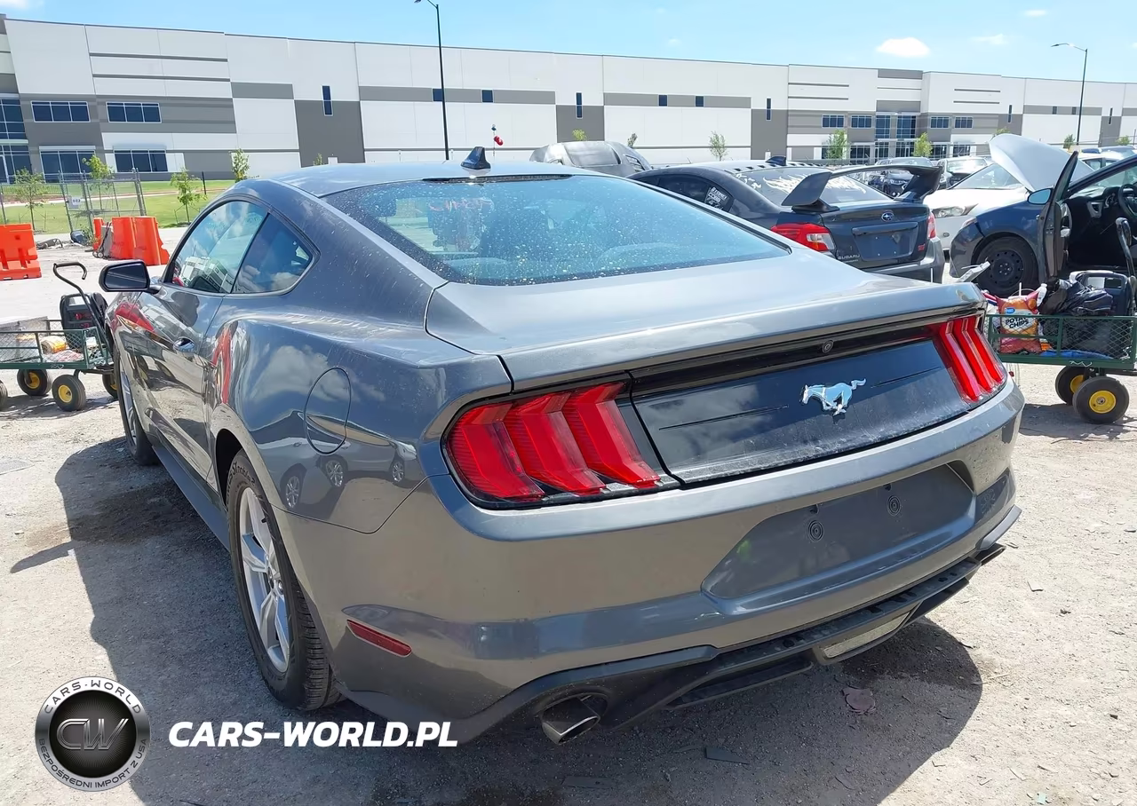 2021 Ford Mustang Ecoboost Fastback VIN:1FA6P8TH6M5154989 - 3