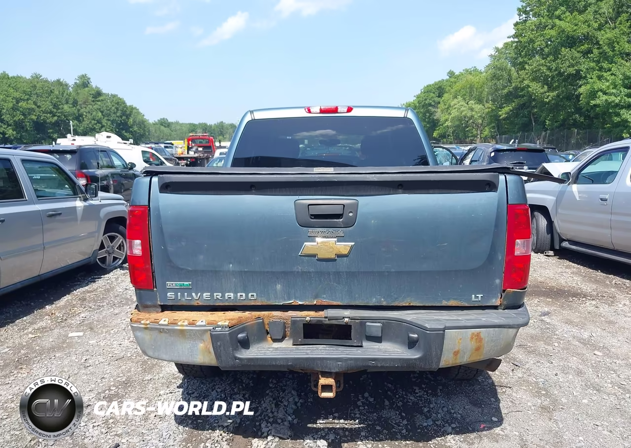 2010 Chevrolet Silverado 1500 Lt VIN:3GCRKSE39AG123129 - 16