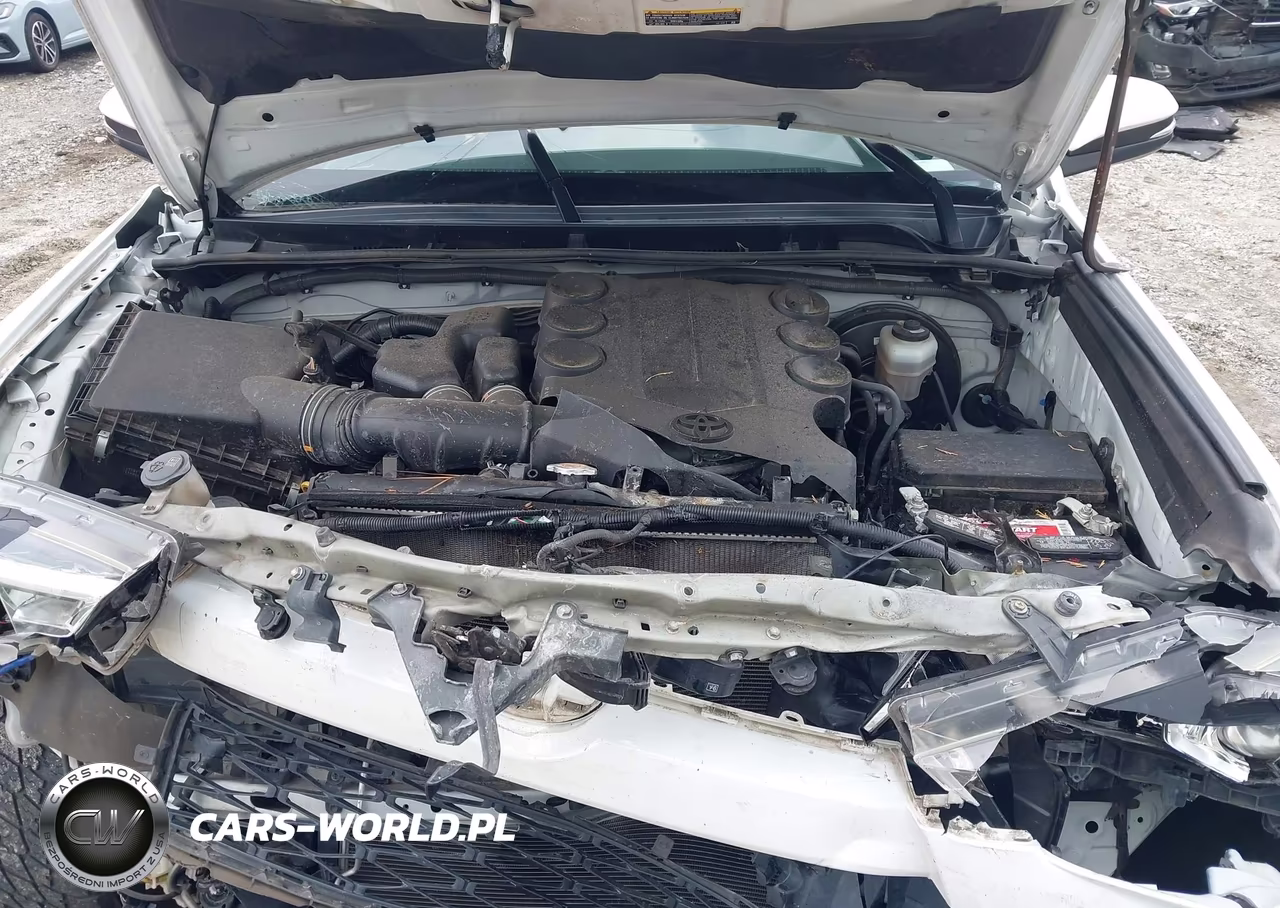 2019 Toyota 4Runner Sr5 Premium VIN:JTEZU5JR3K5195471 - 10