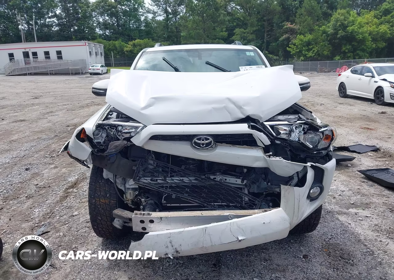 2019 Toyota 4Runner Sr5 Premium VIN:JTEZU5JR3K5195471 - 13