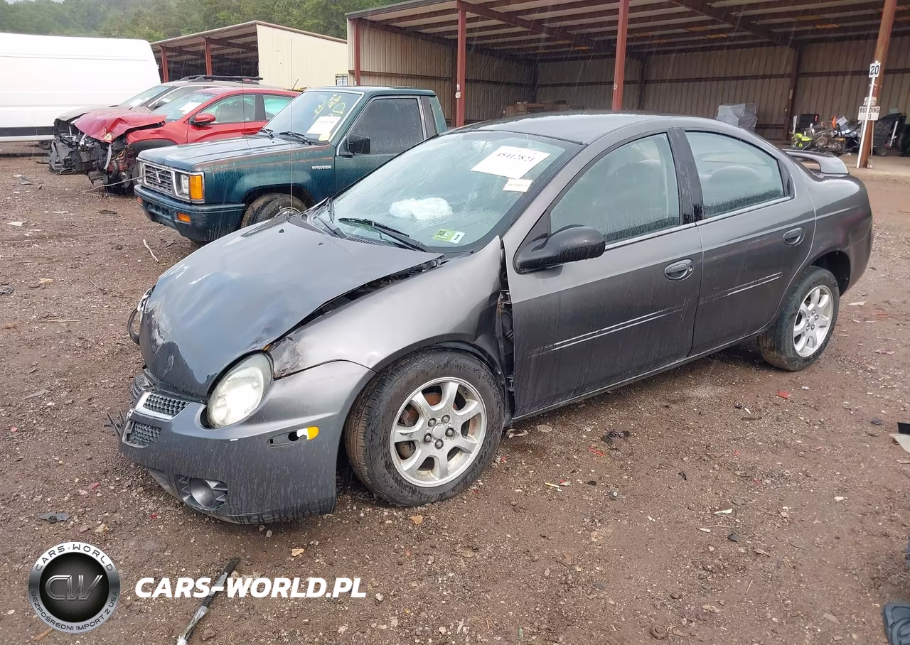 2004 Dodge Neon Sxt VIN:1B3ES56C44D564250 - 2