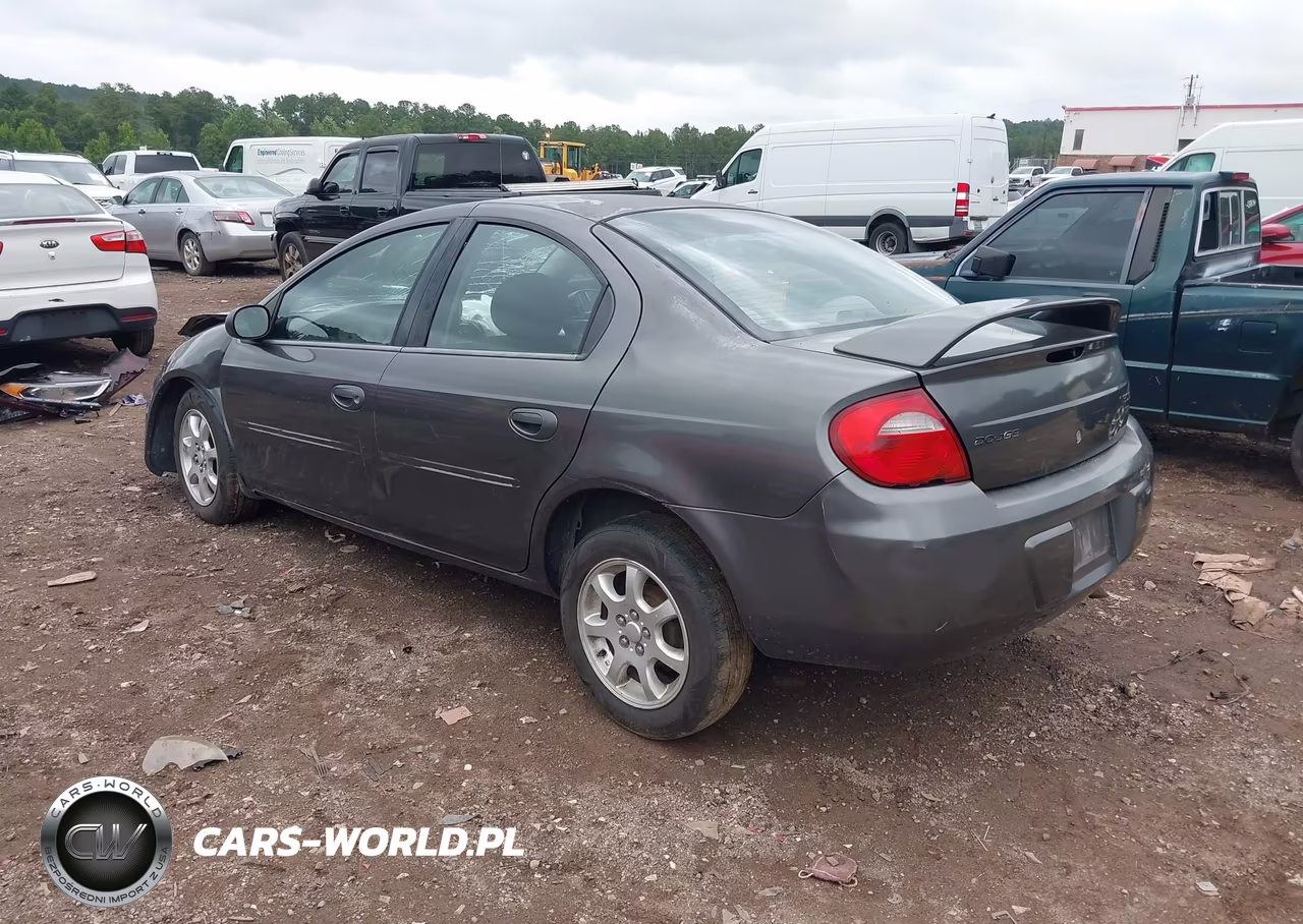 2004 Dodge Neon Sxt VIN:1B3ES56C44D564250 - 3