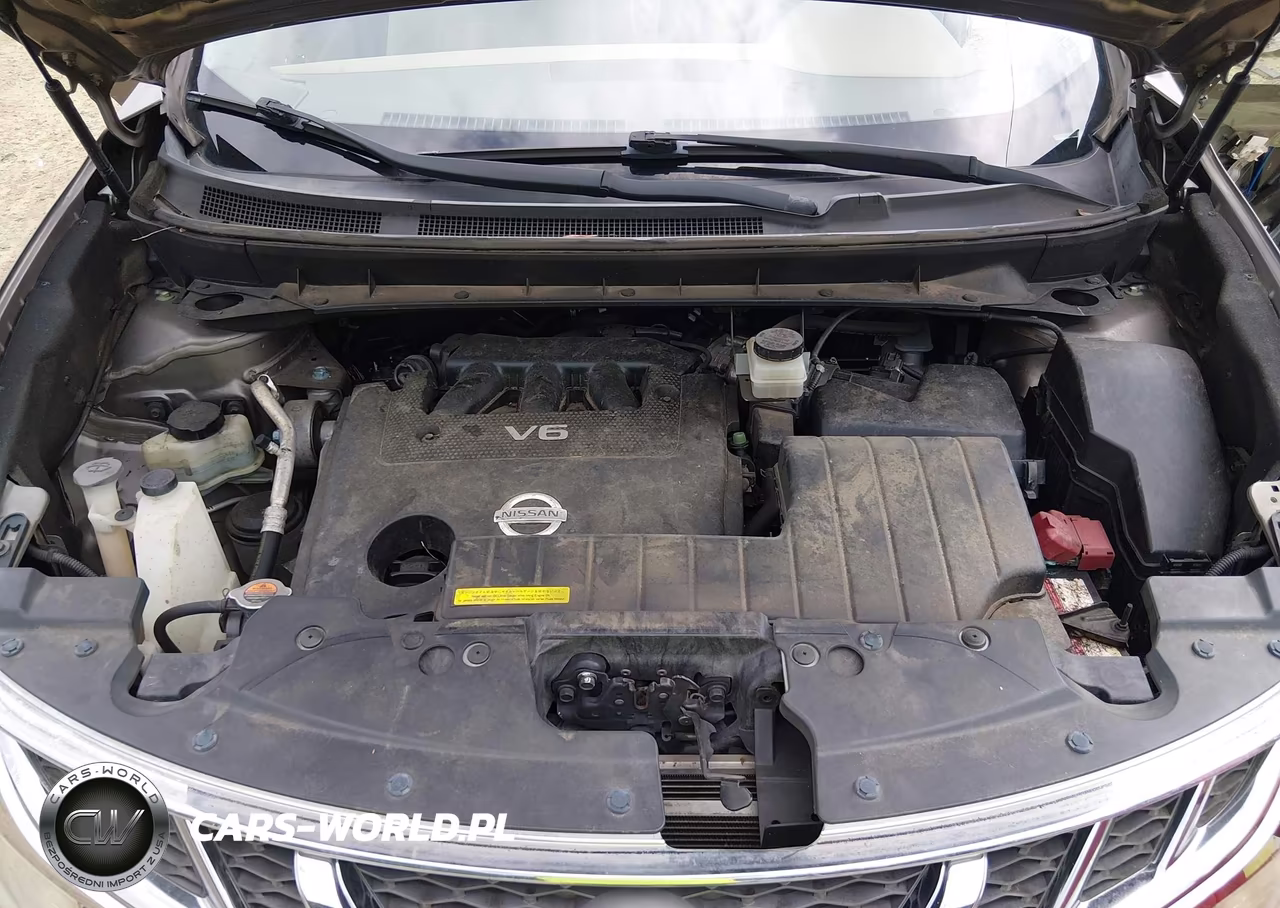 2014 Nissan Murano S VIN:JN8AZ1MU2EW406271 - 10