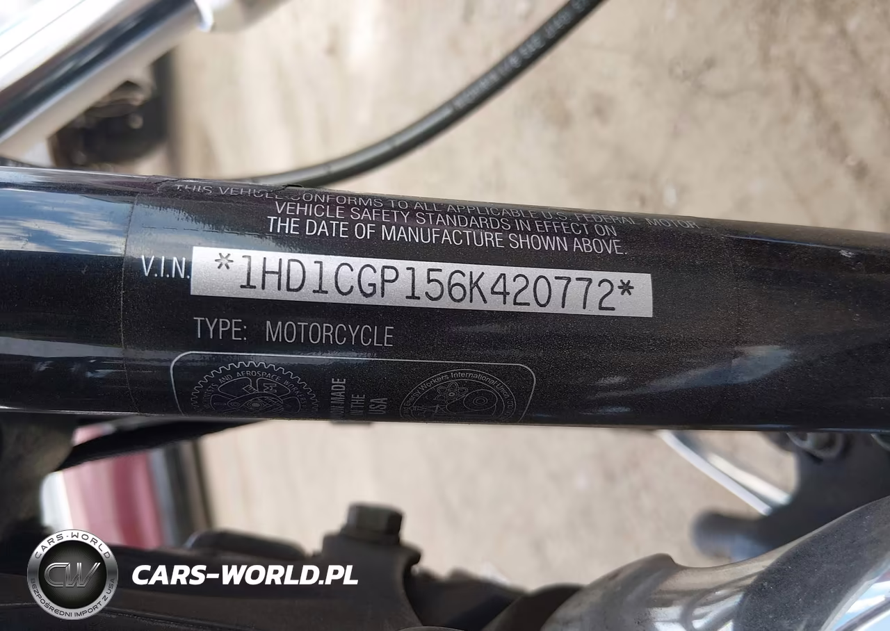 2006 Harley-Davidson Xl1200 C VIN:1HD1CGP156K420772 - 10