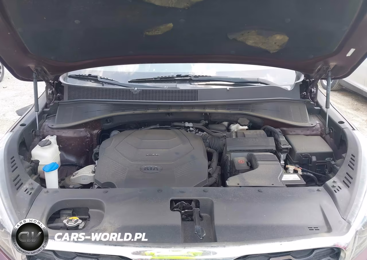 2020 Kia Sorento 3.3L Lx VIN:5XYPG4A51LG616266 - 10