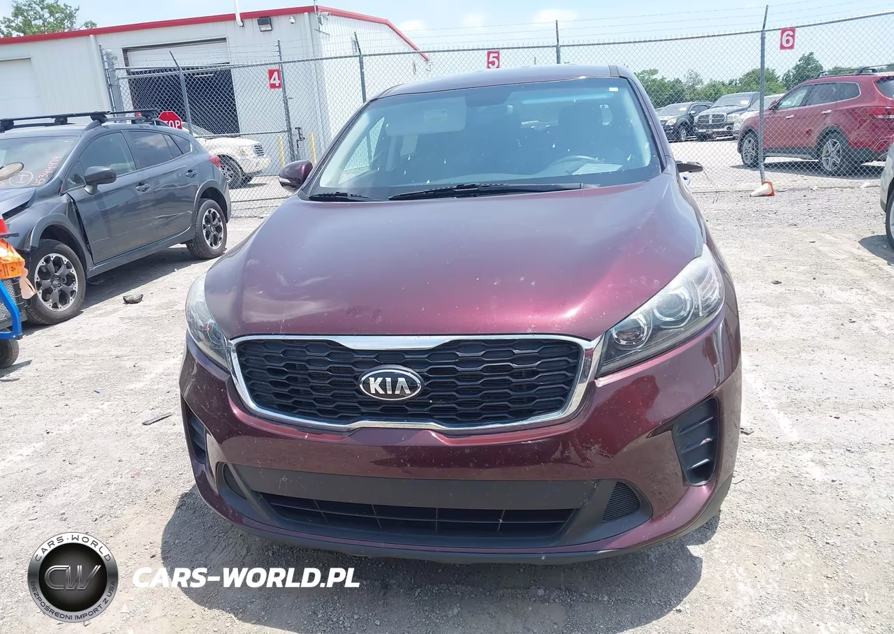 2020 Kia Sorento 3.3L Lx VIN:5XYPG4A51LG616266 - 13