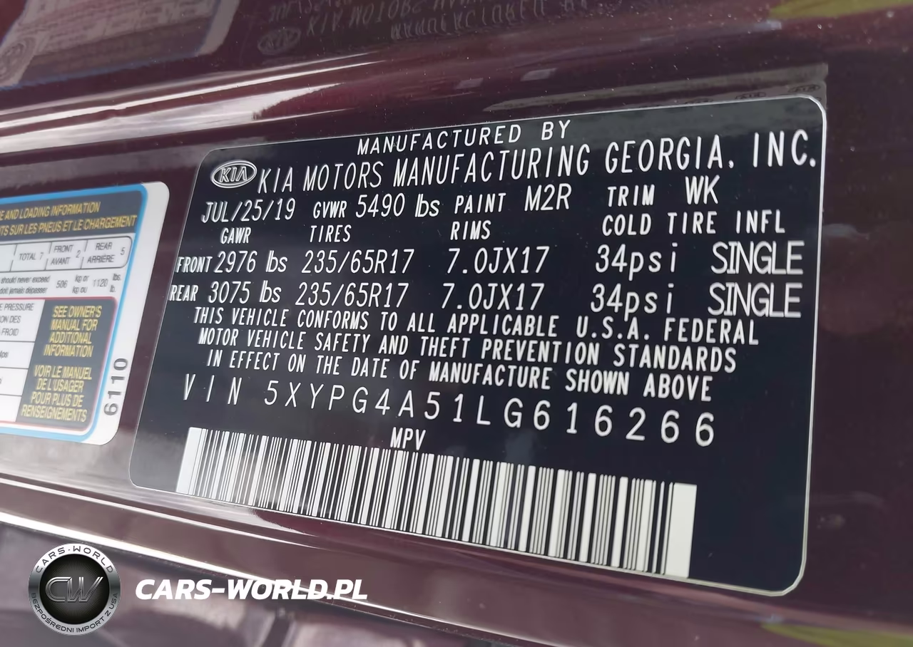 2020 Kia Sorento 3.3L Lx VIN:5XYPG4A51LG616266 - 9