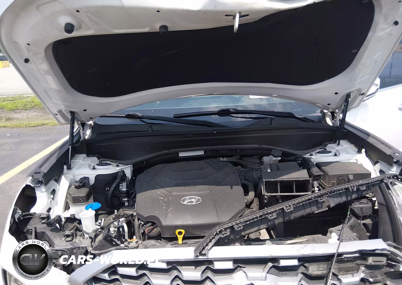 2021 Hyundai Palisade Sel VIN:KM8R24HE0MU191132 - 10