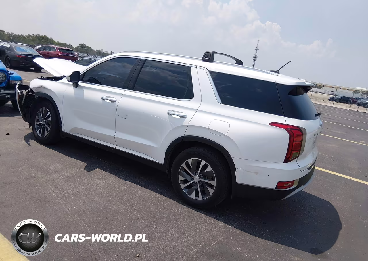 2021 Hyundai Palisade Sel VIN:KM8R24HE0MU191132 - 3