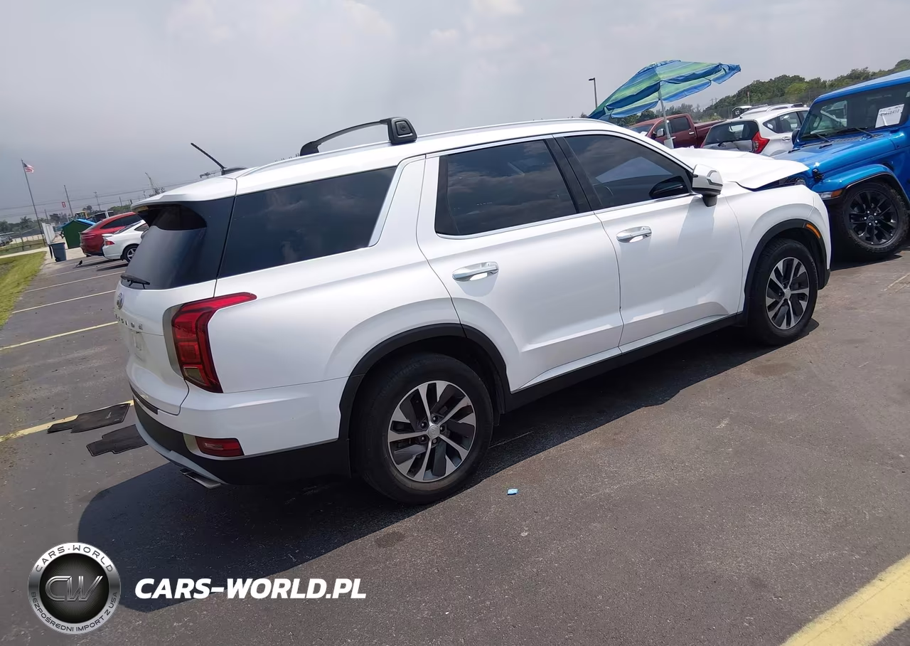 2021 Hyundai Palisade Sel VIN:KM8R24HE0MU191132 - 4