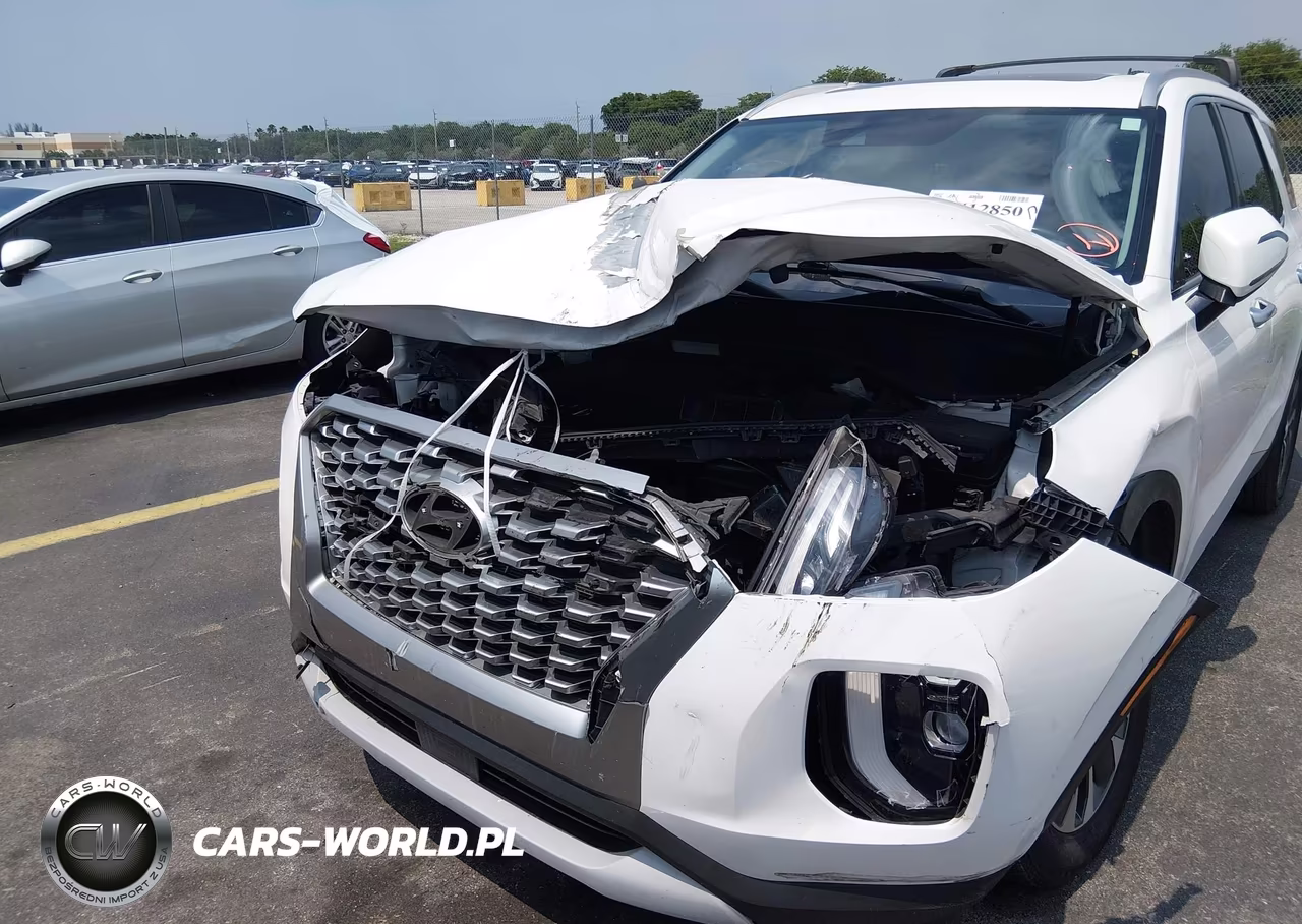 2021 Hyundai Palisade Sel VIN:KM8R24HE0MU191132 - 6