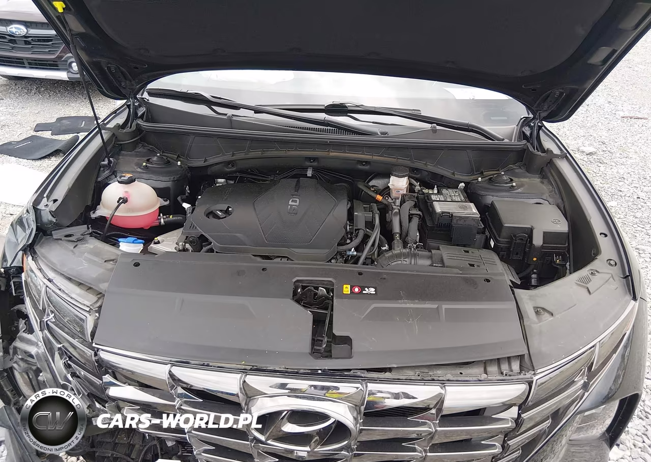 2023 Hyundai Tucson Limited VIN:5NMJE3AE5PH228250 - 10