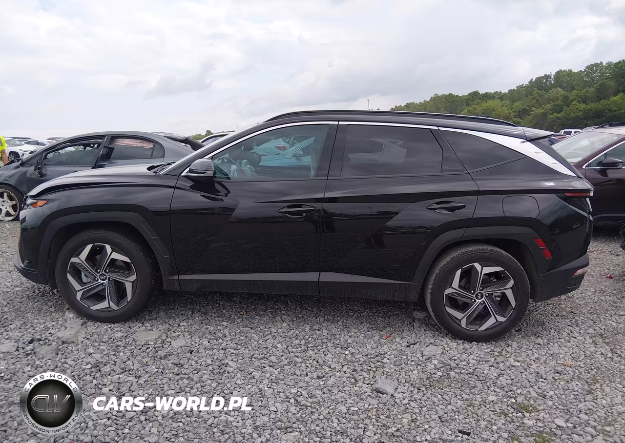 2023 Hyundai Tucson Limited VIN:5NMJE3AE5PH228250 - 15