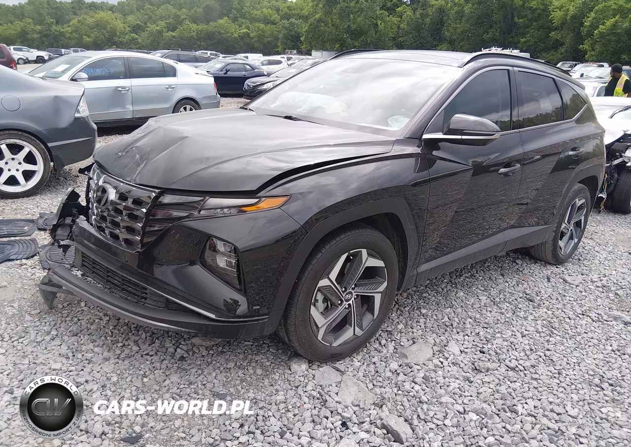2023 Hyundai Tucson Limited VIN:5NMJE3AE5PH228250 - 2