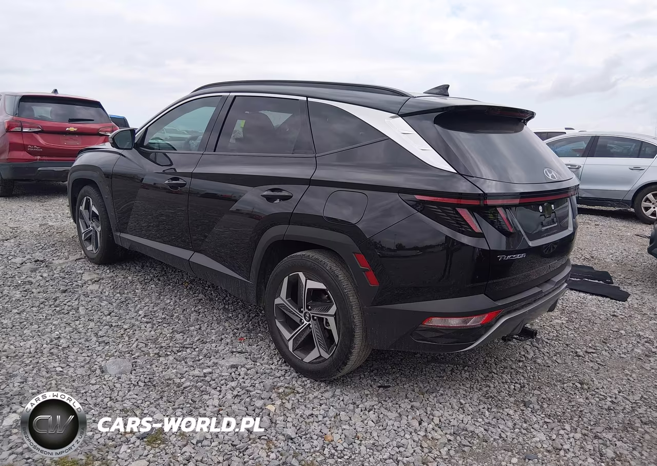 2023 Hyundai Tucson Limited VIN:5NMJE3AE5PH228250 - 3