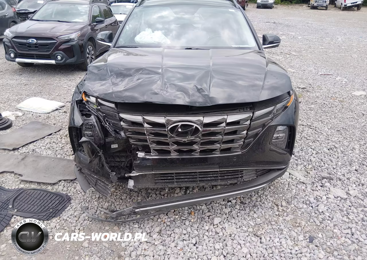 2023 Hyundai Tucson Limited VIN:5NMJE3AE5PH228250 - 6