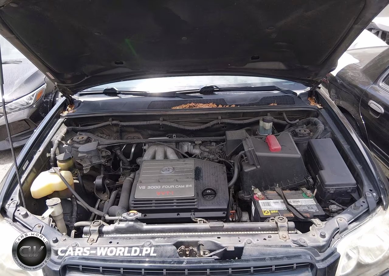 2003 Toyota Highlander V6 VIN:JTEGF21A830091132 - 10