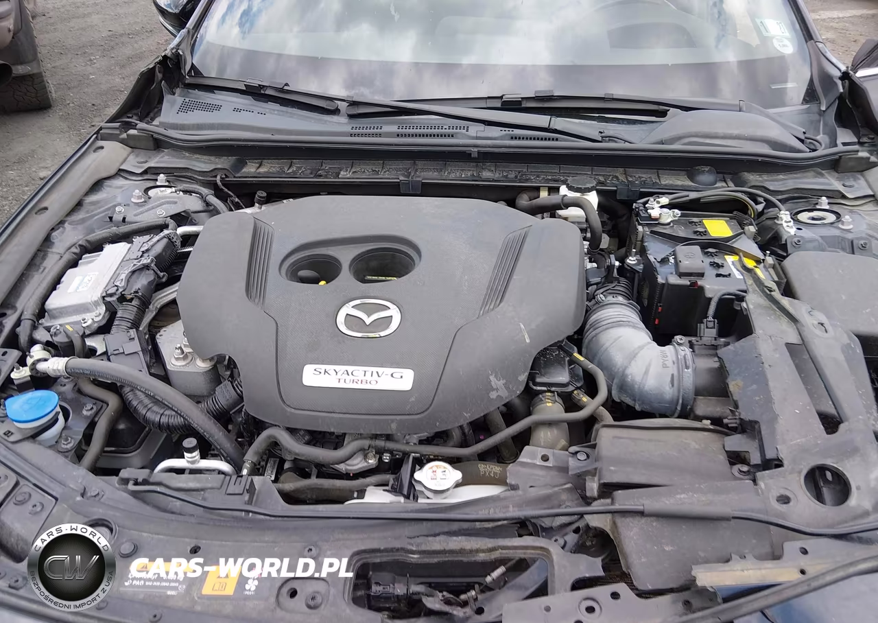 2023 Mazda Mazda3 2.5 Turbo Premium Plus VIN:JM1BPBNYXP1618817 - 10