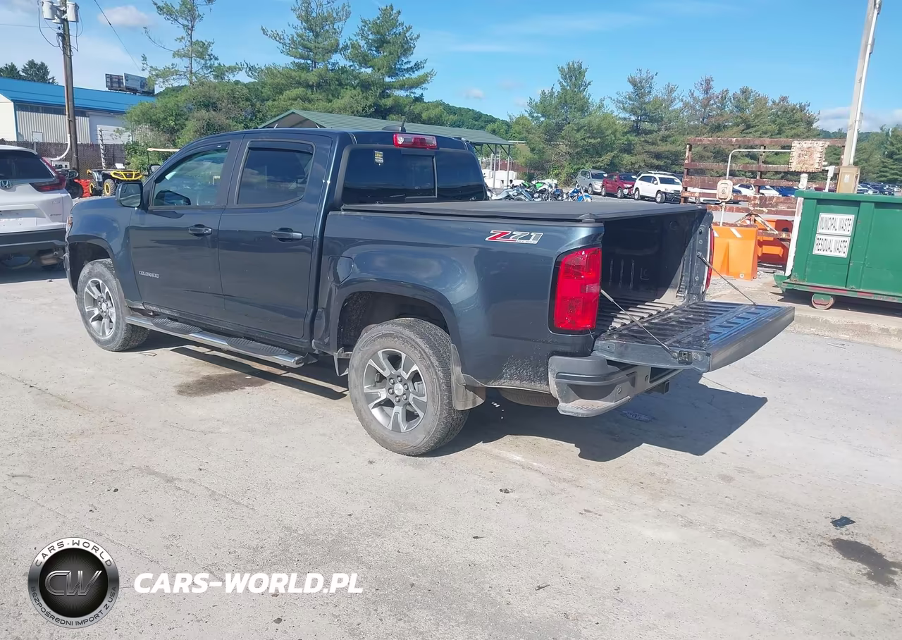 2019 Chevrolet Colorado Z71 VIN:1GCGTDEN3K1140462 - 3