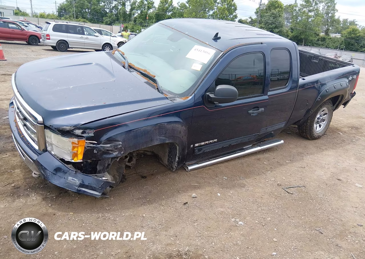 2009 GMC Sierra 1500 Sl-Work Truck VIN:1GTEK19C39Z107779 - 2