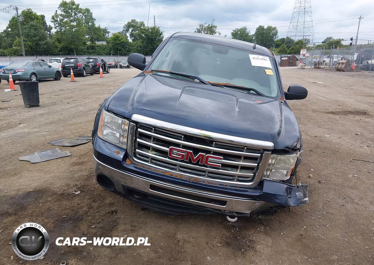 2009 GMC Sierra 1500 Sl-Work Truck VIN:1GTEK19C39Z107779 - 6