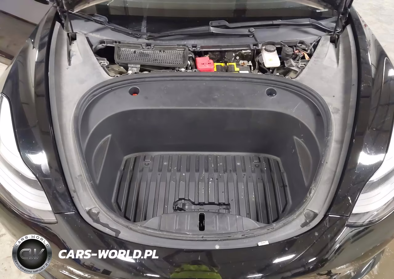 2021 Tesla Model 3 Long Range VIN:5YJ3E1EB0MF065579 - 10