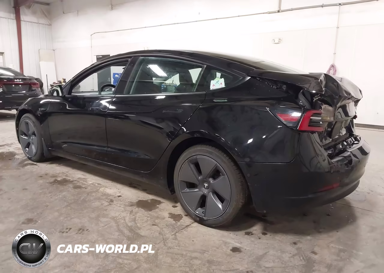 2021 Tesla Model 3 Long Range VIN:5YJ3E1EB0MF065579 - 3