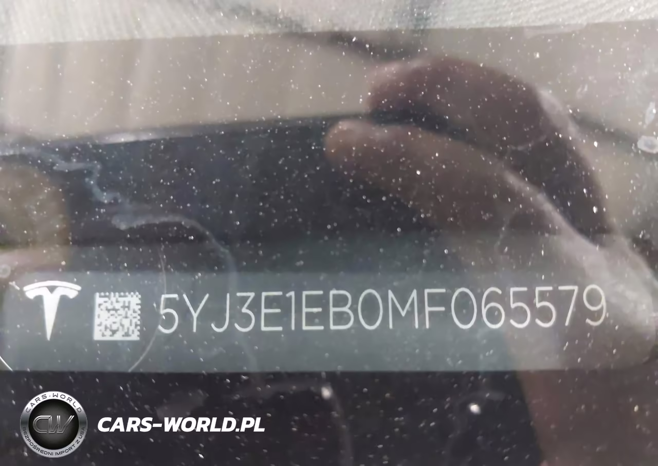 2021 Tesla Model 3 Long Range VIN:5YJ3E1EB0MF065579 - 9