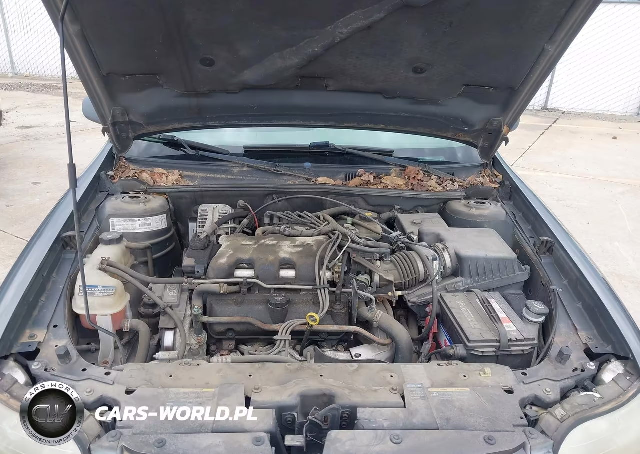 2003 Chevrolet Malibu VIN:1G1ND52J03M631771 - 10