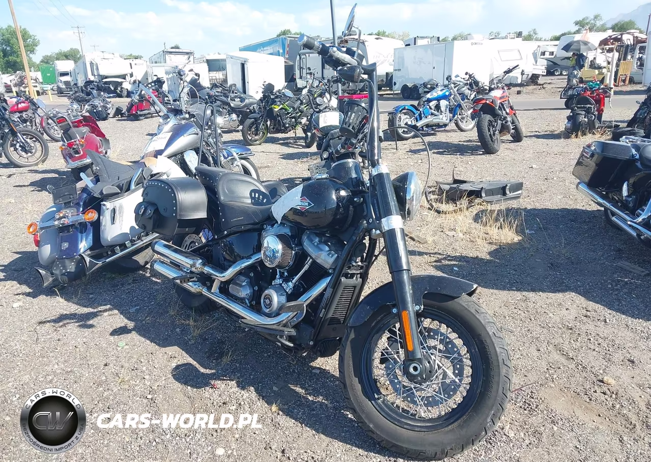 2020 Harley-Davidson Flsl – zdjęcie 1 z 13