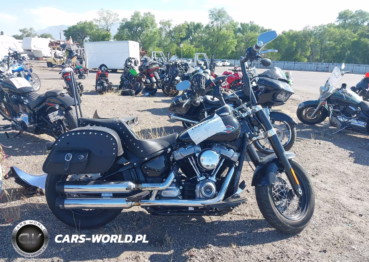 2020 Harley-Davidson Flsl VIN:1HD1YDJ20LB078399 - 12