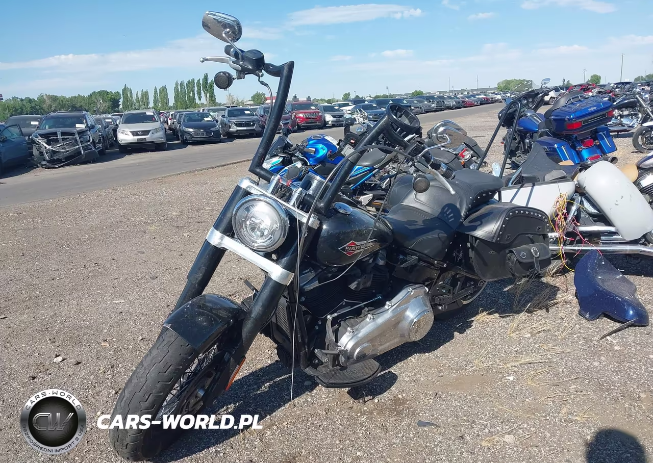 2020 Harley-Davidson Flsl VIN:1HD1YDJ20LB078399 - 2