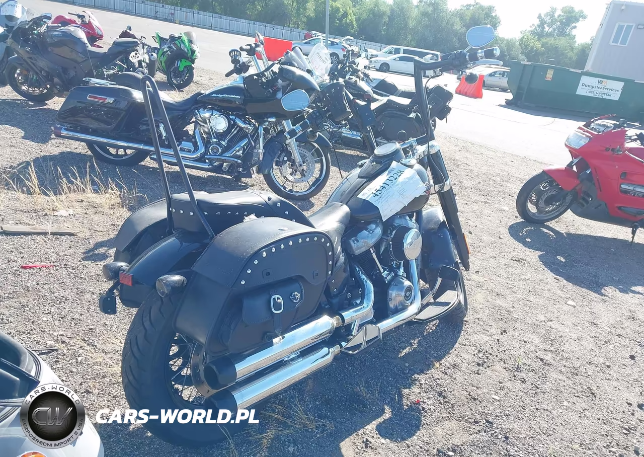 2020 Harley-Davidson Flsl VIN:1HD1YDJ20LB078399 - 4