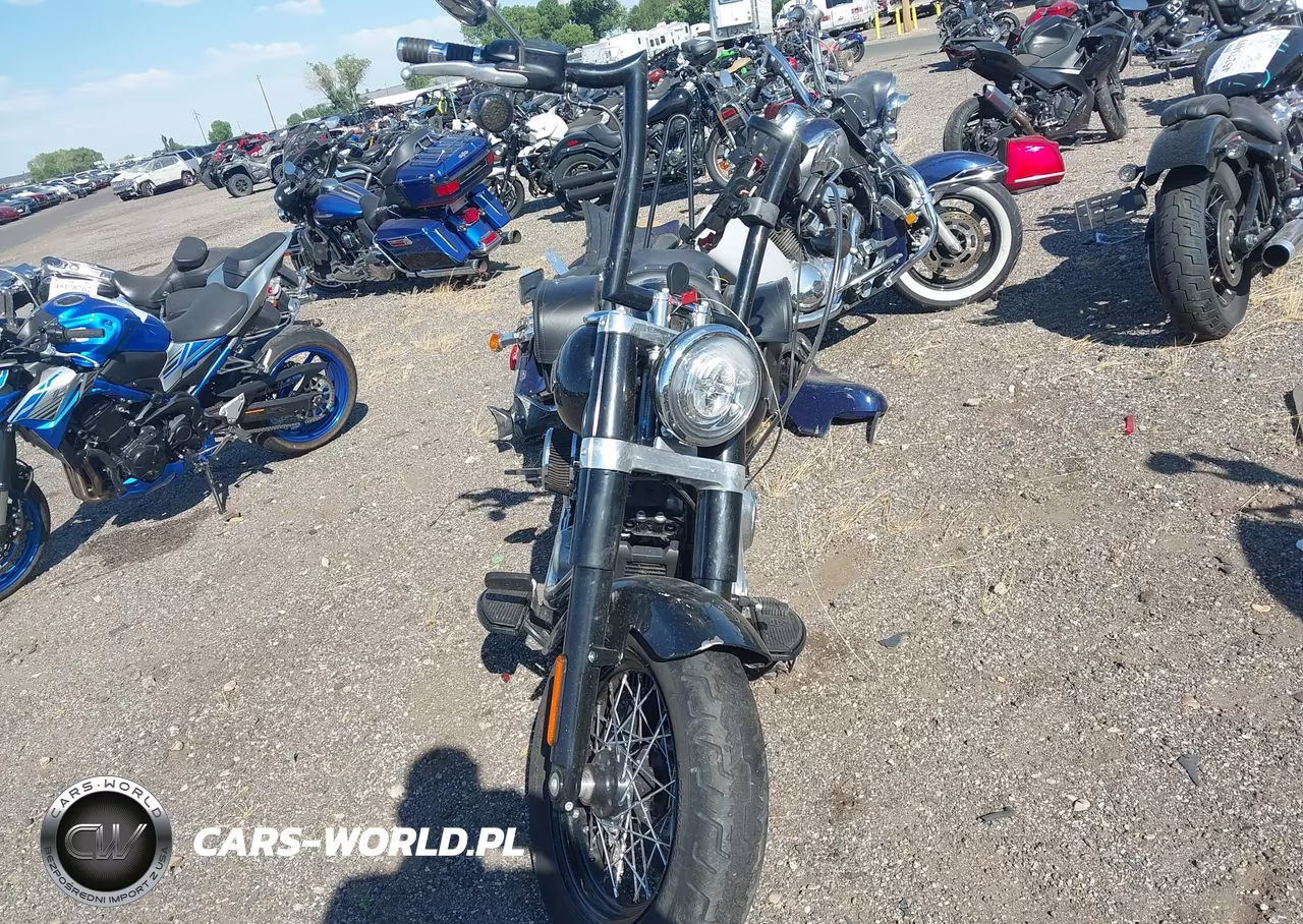 2020 Harley-Davidson Flsl VIN:1HD1YDJ20LB078399 - 5