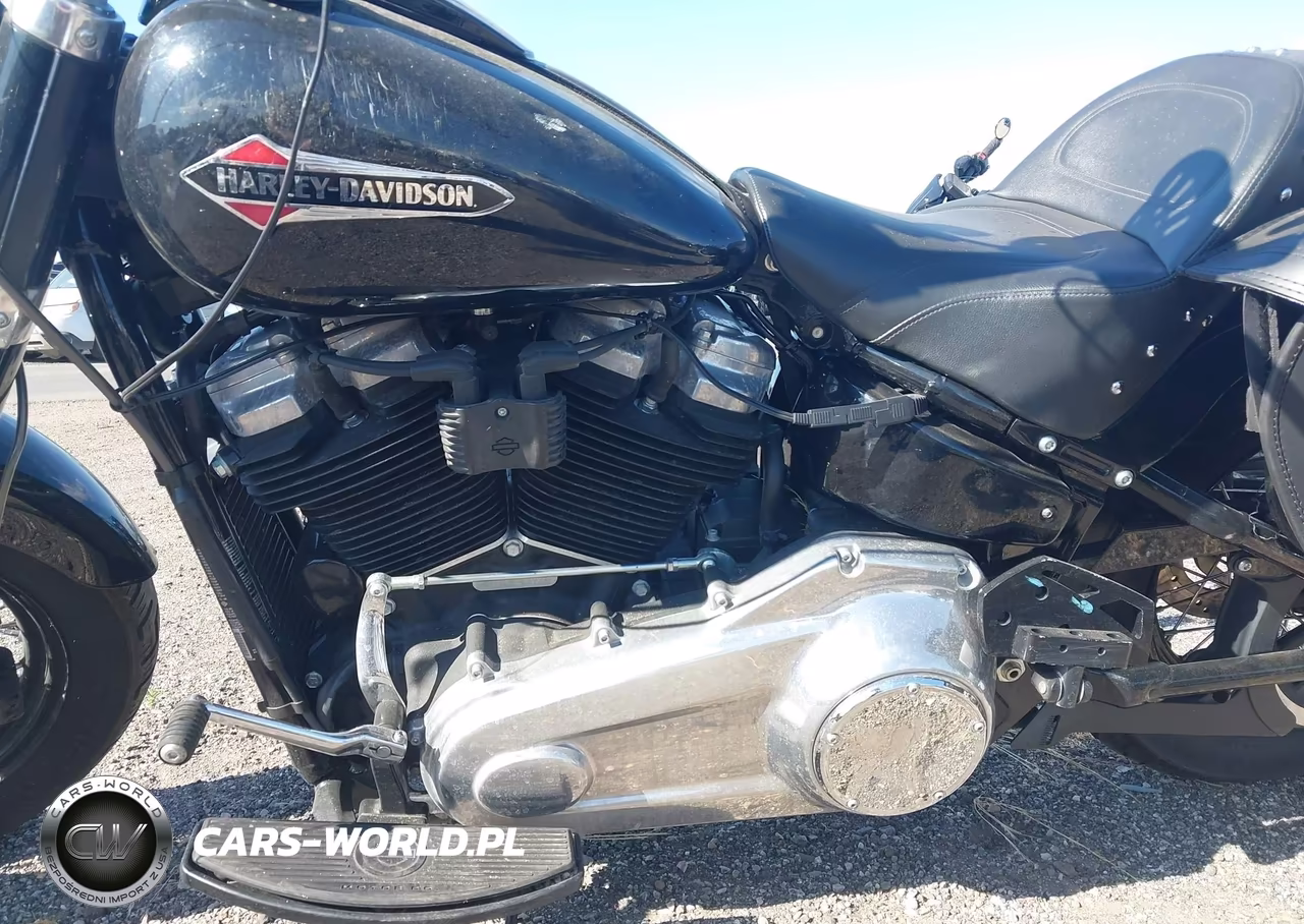 2020 Harley-Davidson Flsl VIN:1HD1YDJ20LB078399 - 9