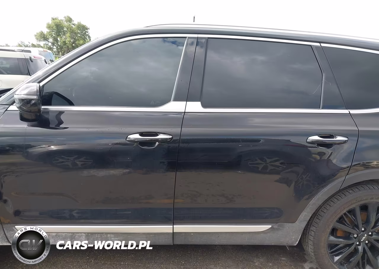 2022 Kia Telluride Sx VIN:5XYP5DHC2NG278308 - 15