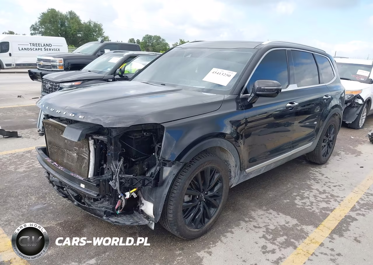 2022 Kia Telluride Sx VIN:5XYP5DHC2NG278308 - 2