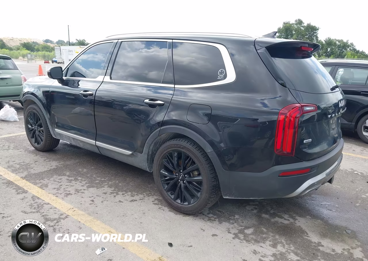 2022 Kia Telluride Sx VIN:5XYP5DHC2NG278308 - 3