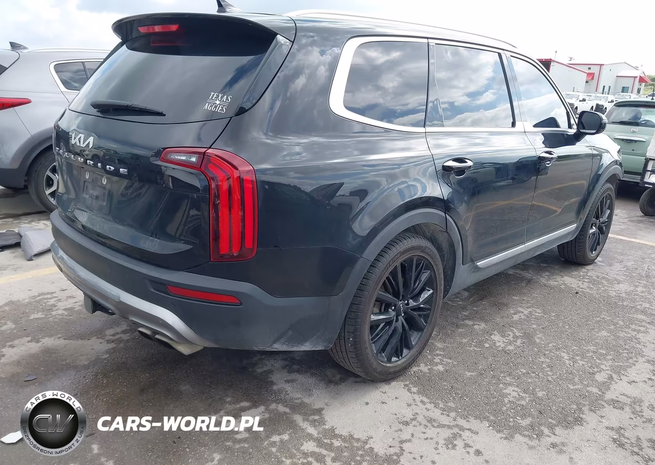 2022 Kia Telluride Sx VIN:5XYP5DHC2NG278308 - 4