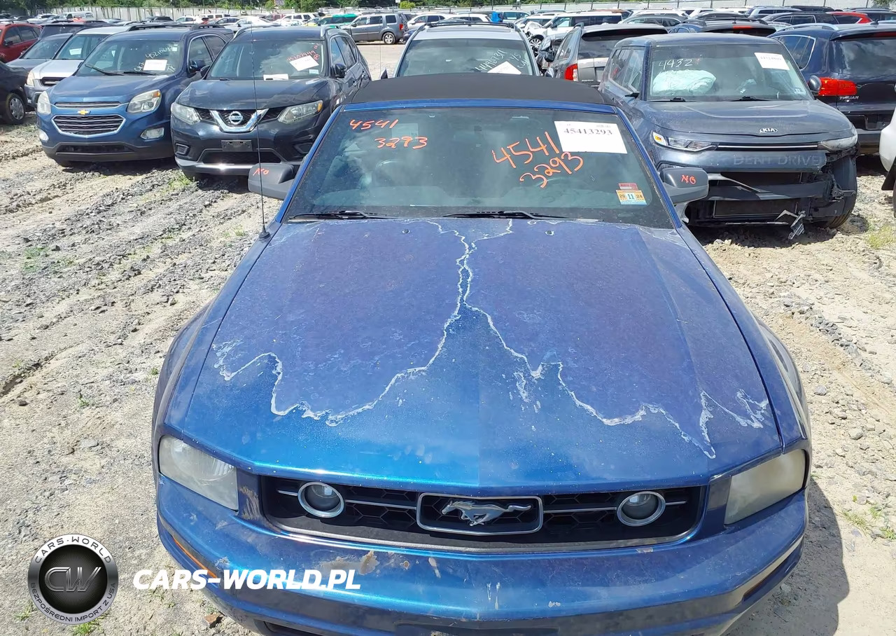 2007 Ford Mustang V6 Deluxe-V6 Premium VIN:1ZVHT84N975197842 - 12
