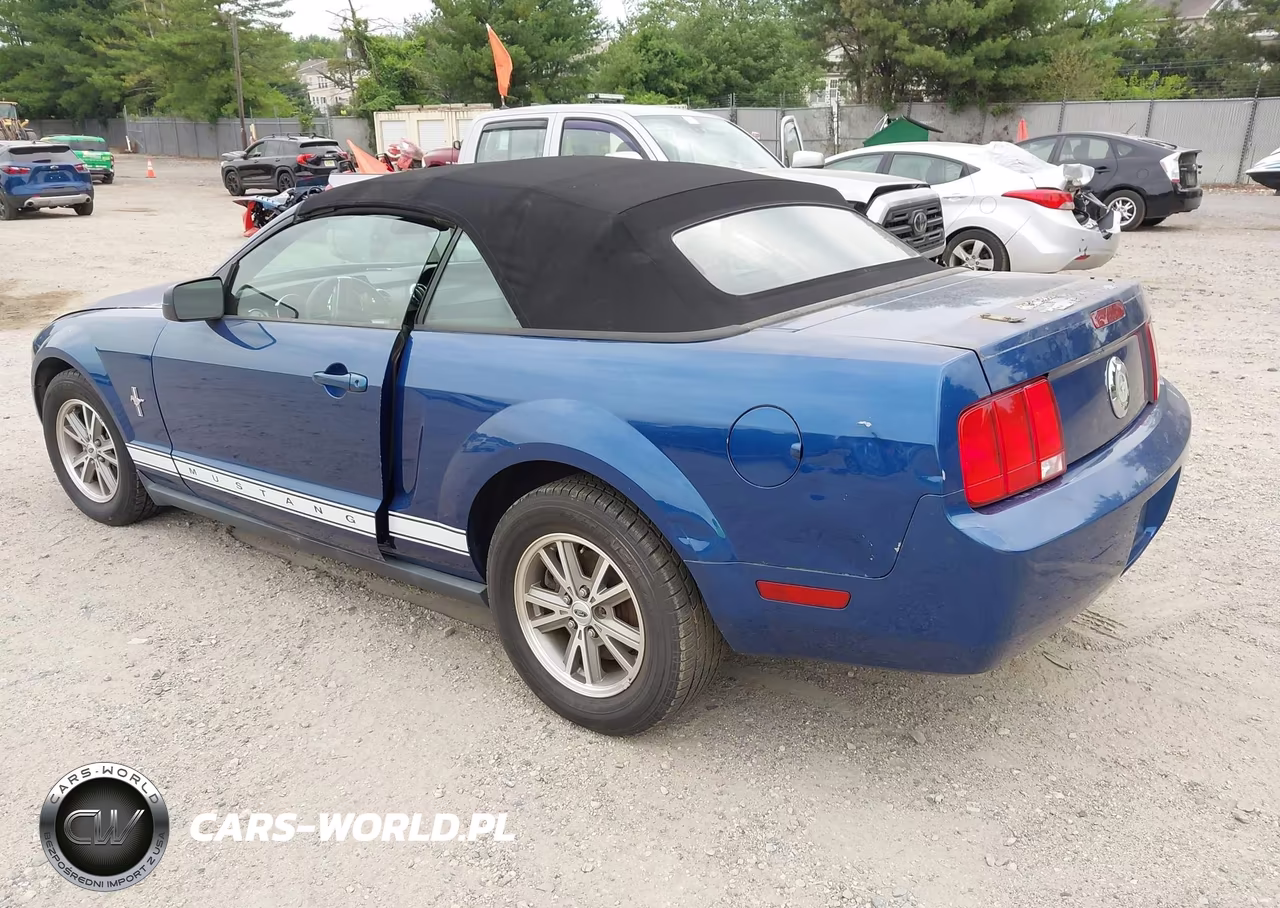2007 Ford Mustang V6 Deluxe-V6 Premium VIN:1ZVHT84N975197842 - 3