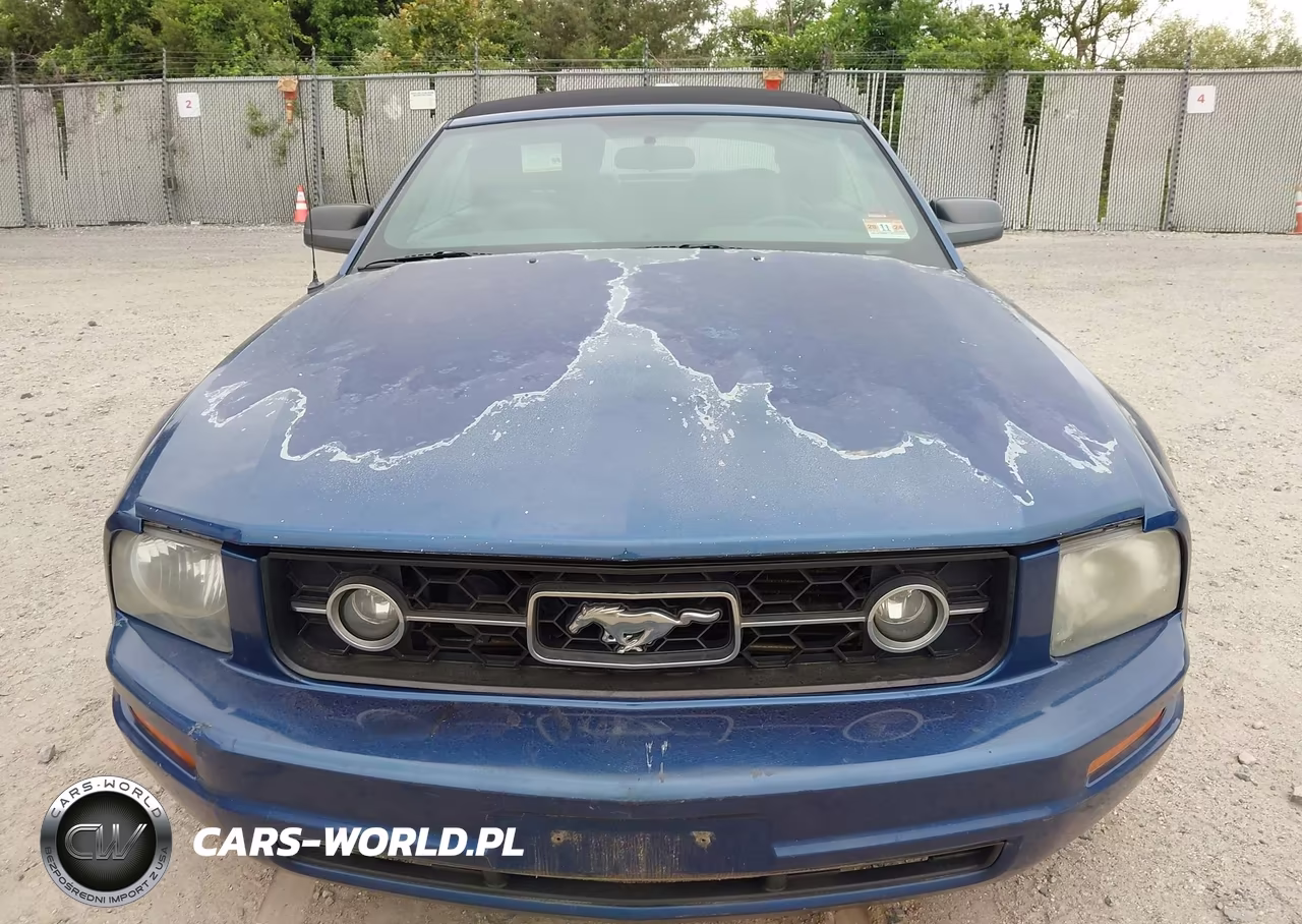 2007 Ford Mustang V6 Deluxe-V6 Premium VIN:1ZVHT84N975197842 - 6