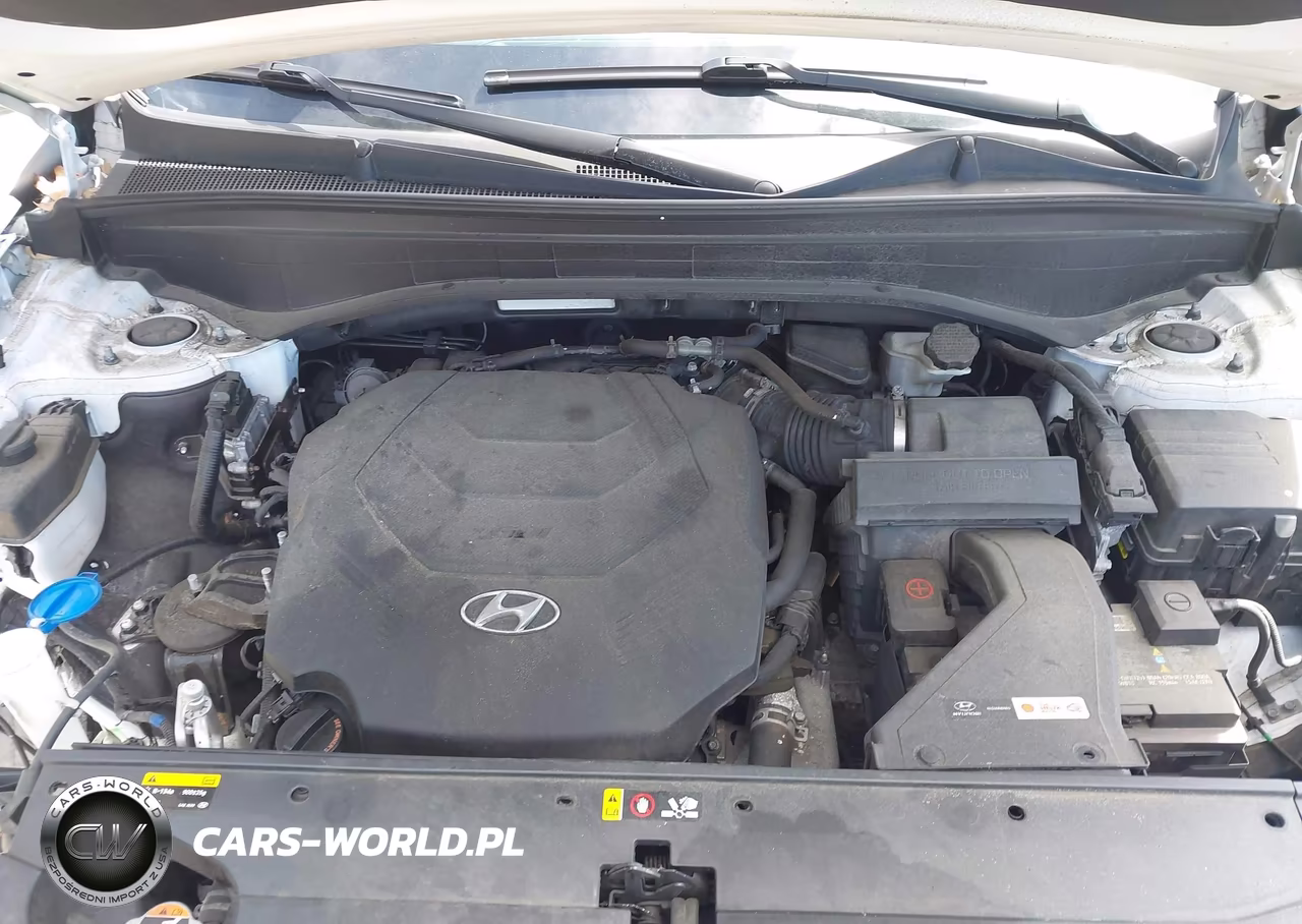 2020 Hyundai Palisade Limited VIN:KM8R5DHE7LU100945 - 10