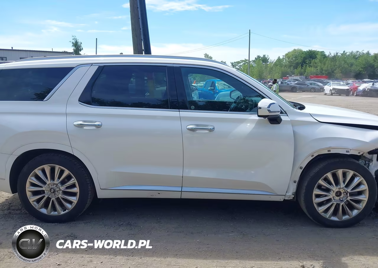 2020 Hyundai Palisade Limited VIN:KM8R5DHE7LU100945 - 13