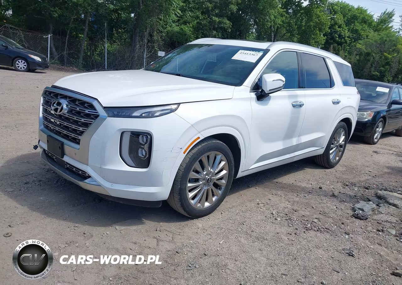 2020 Hyundai Palisade Limited VIN:KM8R5DHE7LU100945 - 2