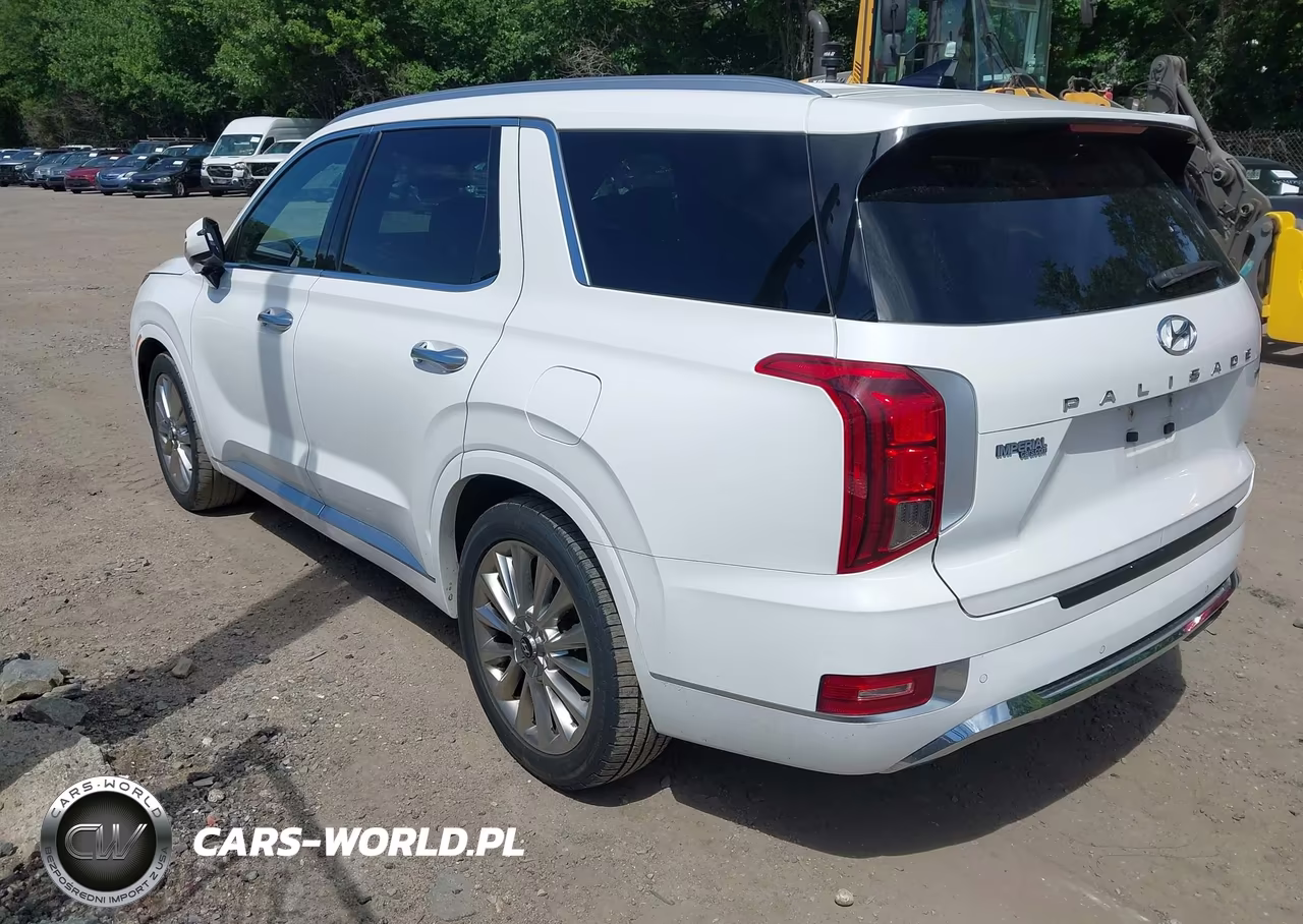 2020 Hyundai Palisade Limited VIN:KM8R5DHE7LU100945 - 3