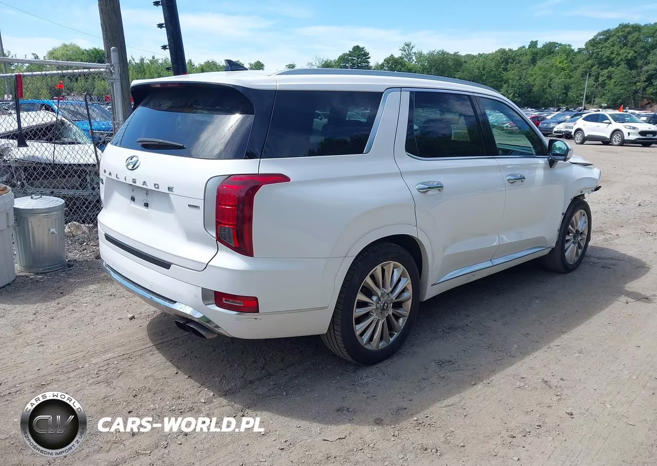 2020 Hyundai Palisade Limited VIN:KM8R5DHE7LU100945 - 4