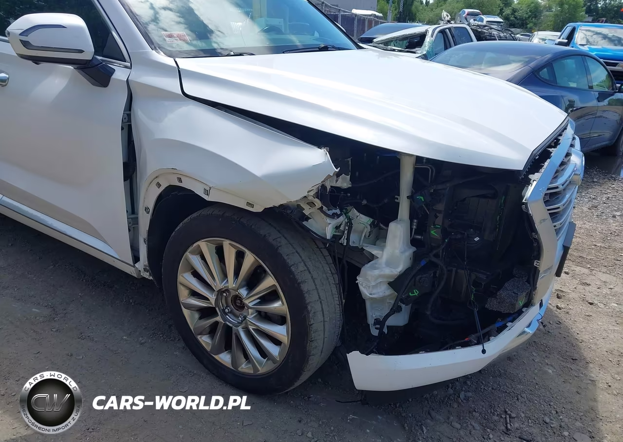 2020 Hyundai Palisade Limited VIN:KM8R5DHE7LU100945 - 6