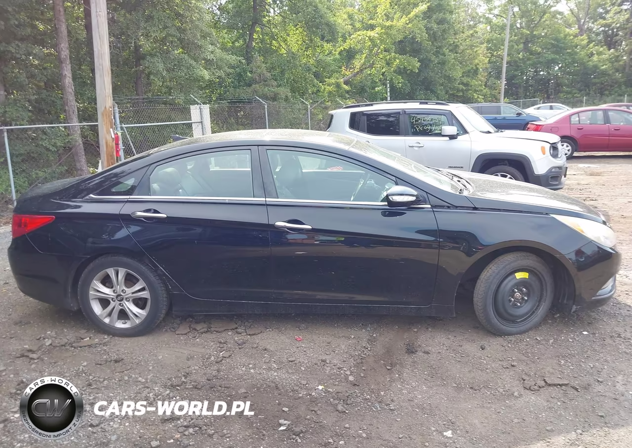 2013 Hyundai Sonata Limited VIN:5NPEC4AC6DH705195 - 13